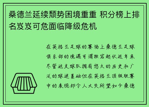 桑德兰延续颓势困境重重 积分榜上排名岌岌可危面临降级危机