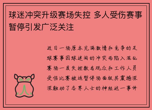 球迷冲突升级赛场失控 多人受伤赛事暂停引发广泛关注